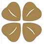 Lucky Games casino software provider