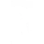 ReelPlay casino software provider