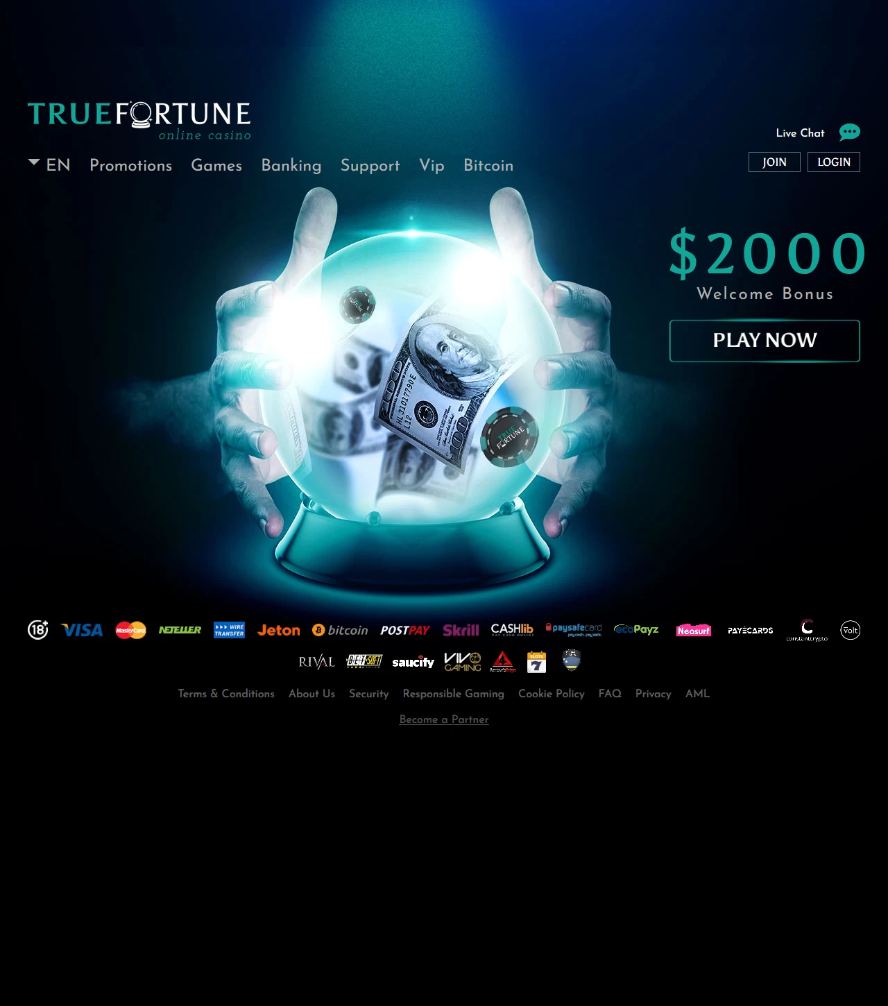 True Fortune Casino Casino