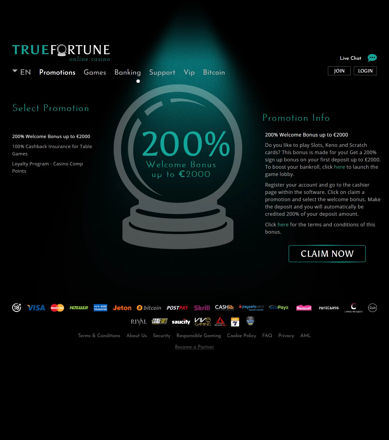 True Fortune Casino Casino