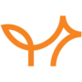 Foxium casino software provider