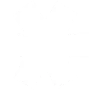 Snowborn Games casino software provider