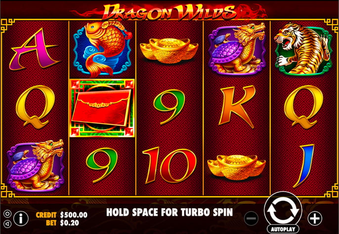Dragon Wilds				 Pokie